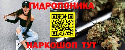 стаф Бузулук