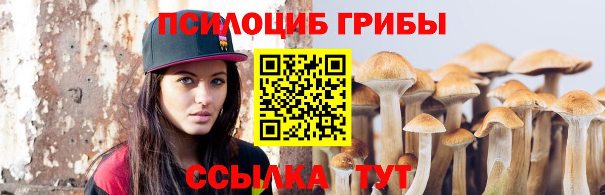 Псилоцибиновые грибы GOLDEN TEACHER Сорочинск
